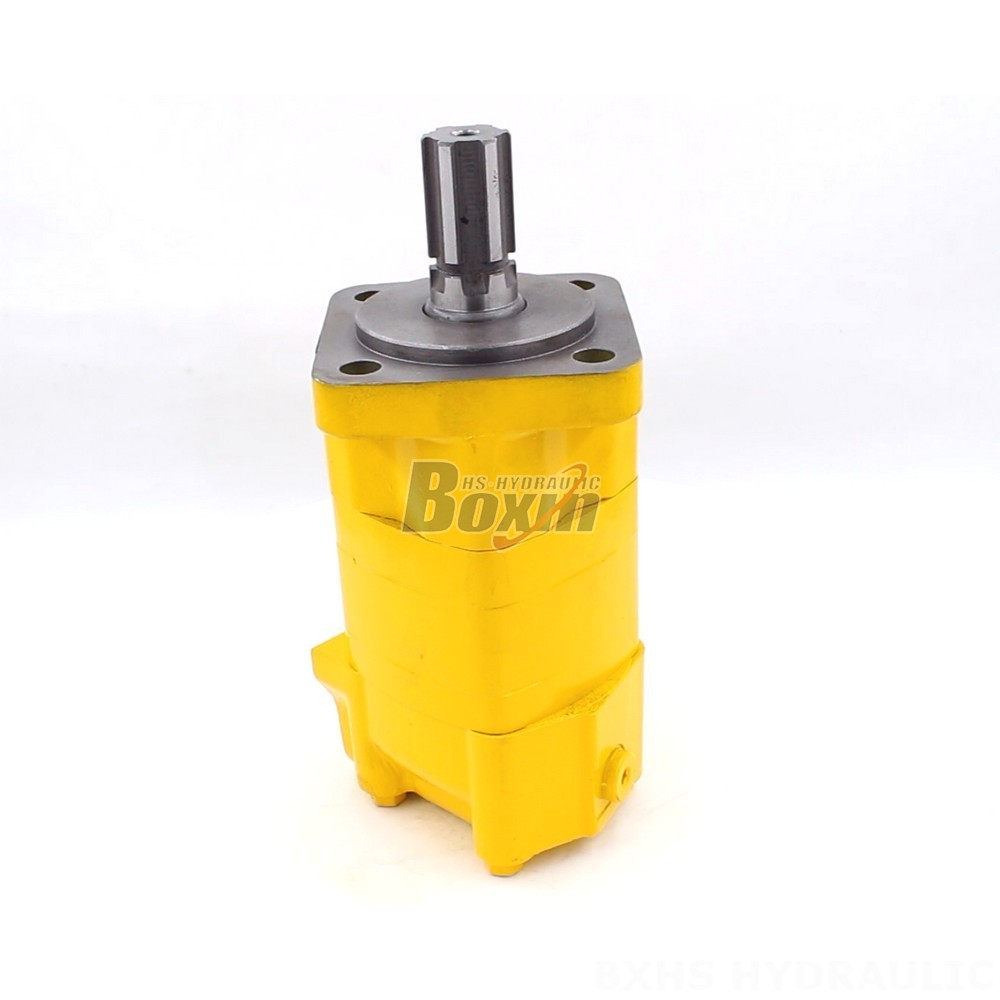 BM5 Cycloid Hydraulic Motor: OEM/ODM Services Available main image